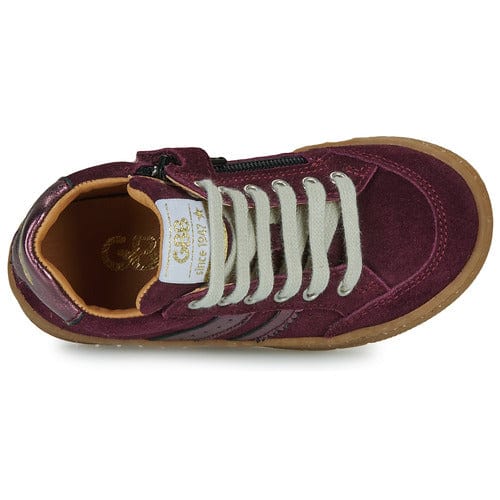 Chaussures Basses/Baskets/Sneakers GBB ACCUEILLANT Prune Bottillons