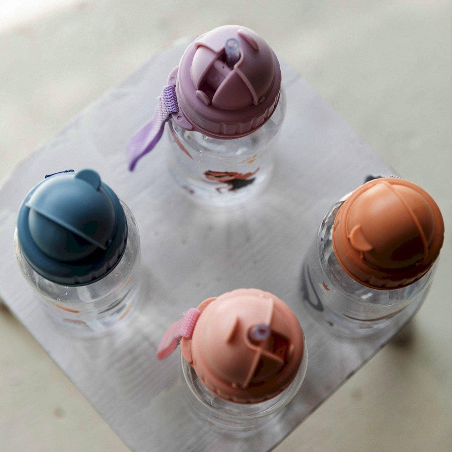 accessoires Bouteille en plastique Wild Fairies 2125640