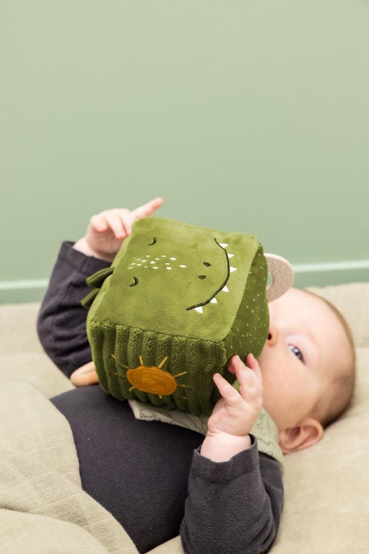 jouets TRIXIE Cubes d'activités Mr Dino 5400858248985