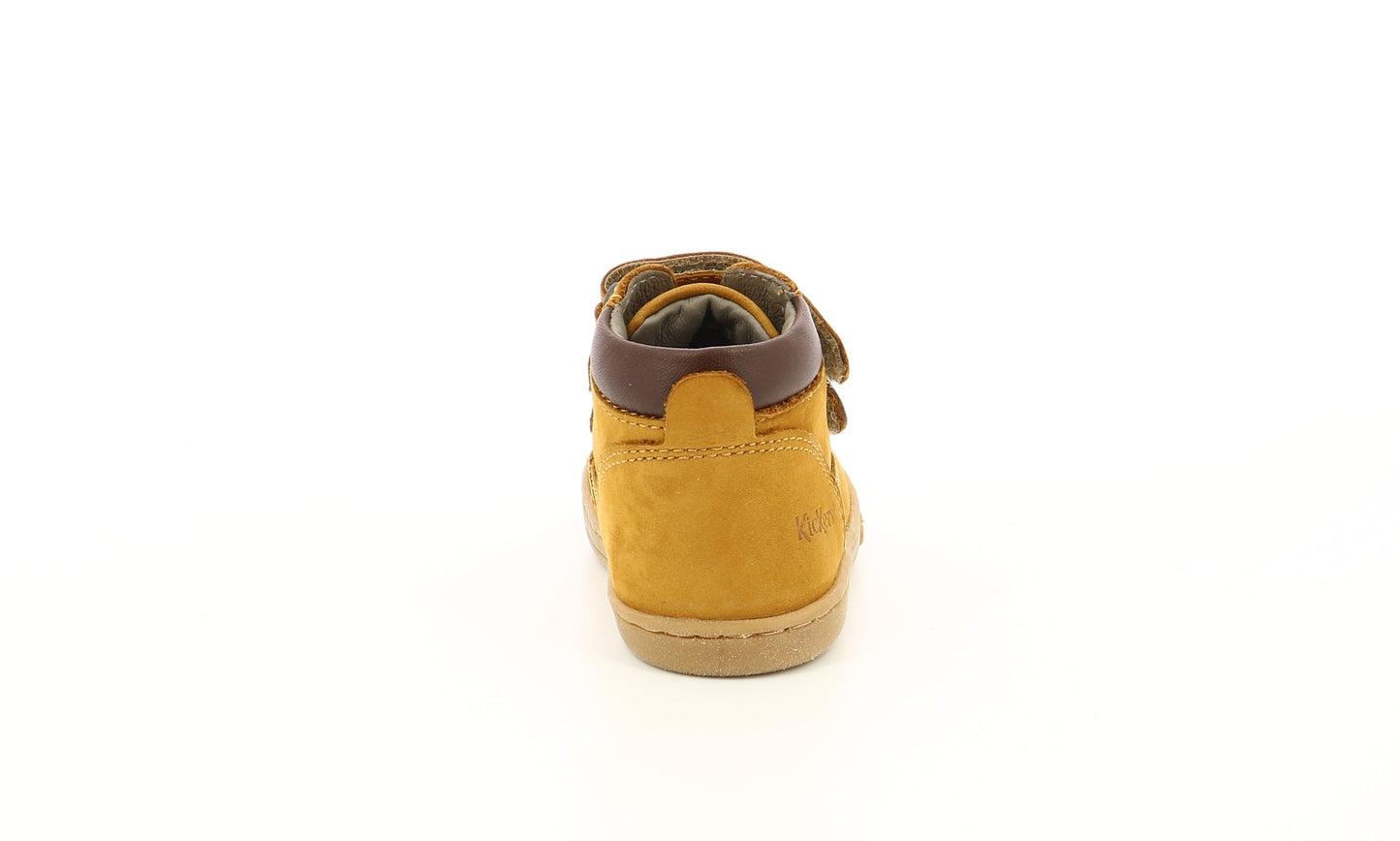 Chaussures hautes/Botillons KICKERS TACKEASY camel Chaussures hautes Botillons