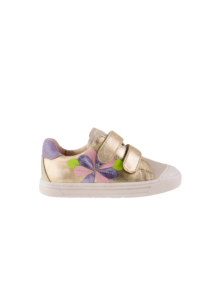ACEBOS 5905 IN Platine Chaussures Basses Baskets Sneakers