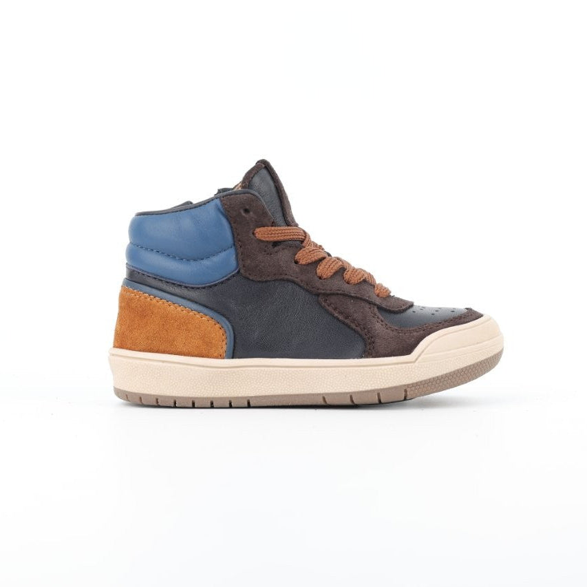 PINOCCHIO F1146 Brown Marine Bottillons Baskets Hautes