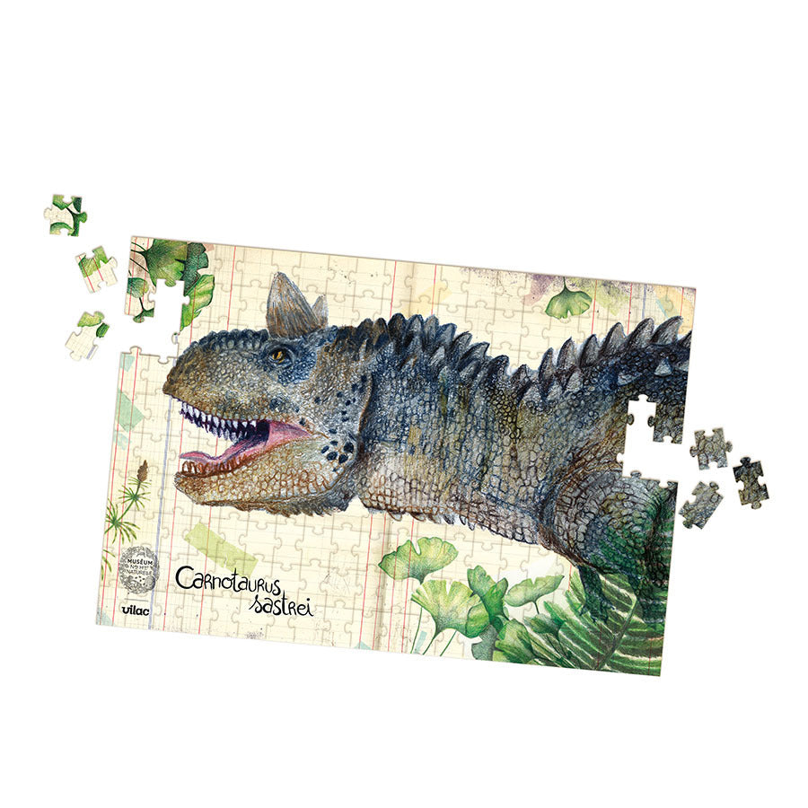 VILAC Coffret 3 puzzle dinosaures et posters 9626
