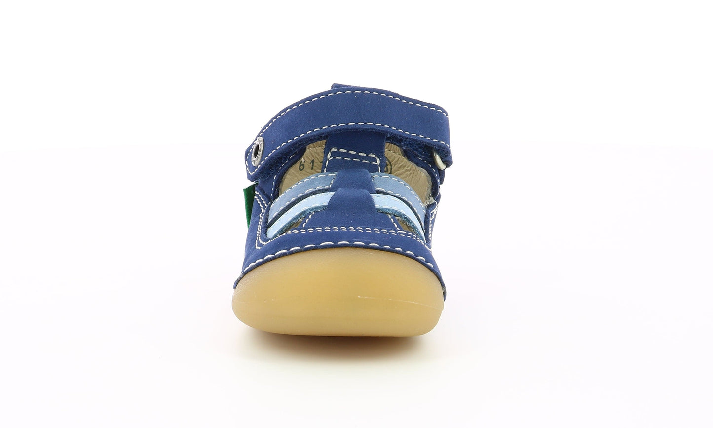 Babies/Salomés 19 KICKERS SUSHY bleu tricolore prémarche premiers pas salomés 3612889306585