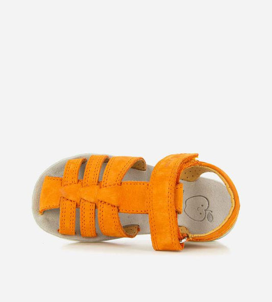 Sandales / Nu Pieds SHOO POM GOA TONTON Sandales Nu Pieds