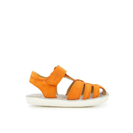 Sandales / Nu Pieds SHOO POM GOA TONTON Sandales Nu Pieds