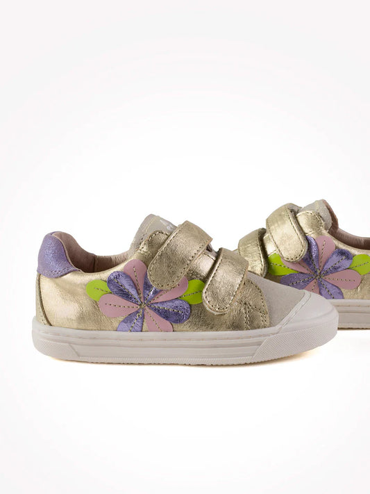 ACEBOS 5905 IN Platine Chaussures Basses Baskets Sneakers
