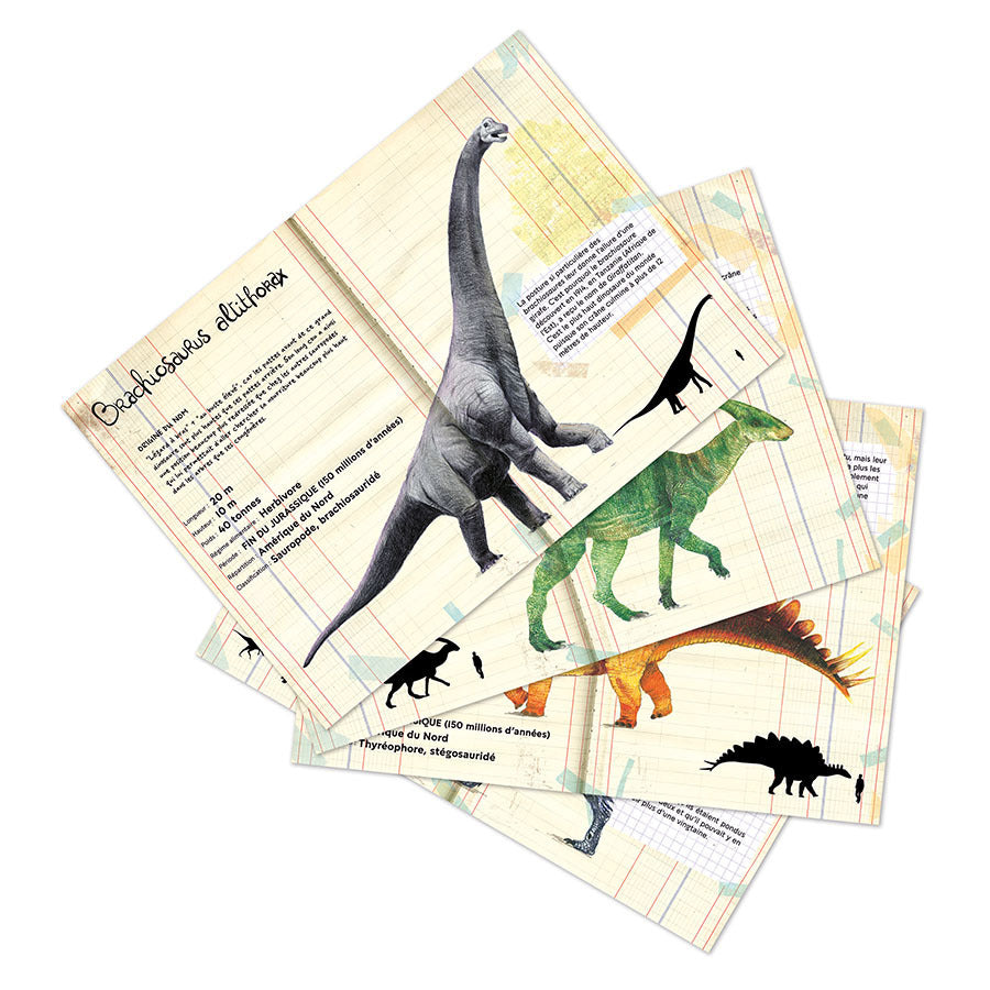 VILAC set de 21 magnets dinosaures 9624