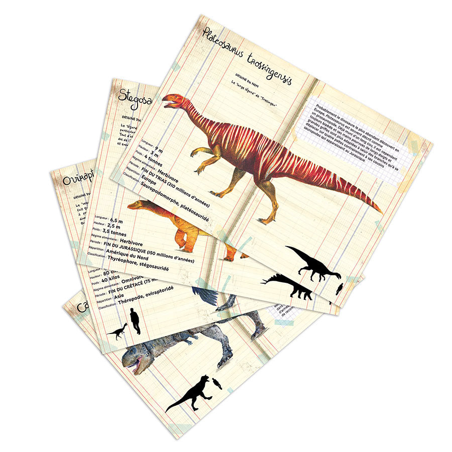 VILAC set de 21 magnets dinosaures 9624