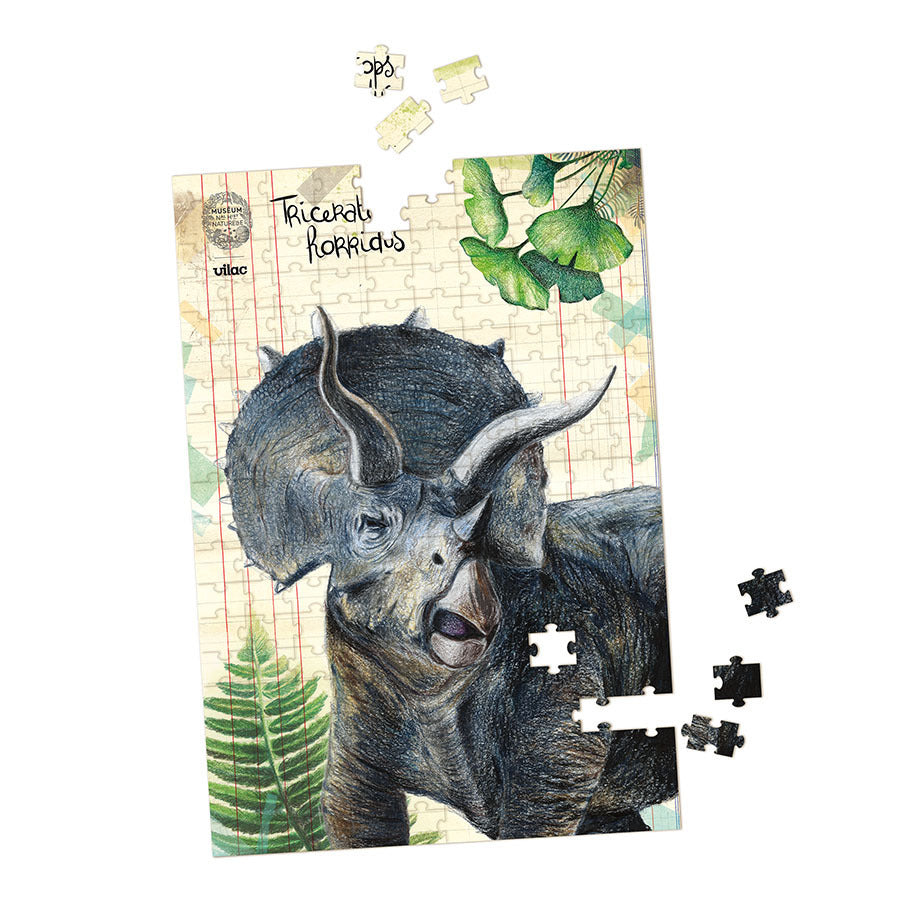 VILAC Coffret 3 puzzle dinosaures et posters 9626