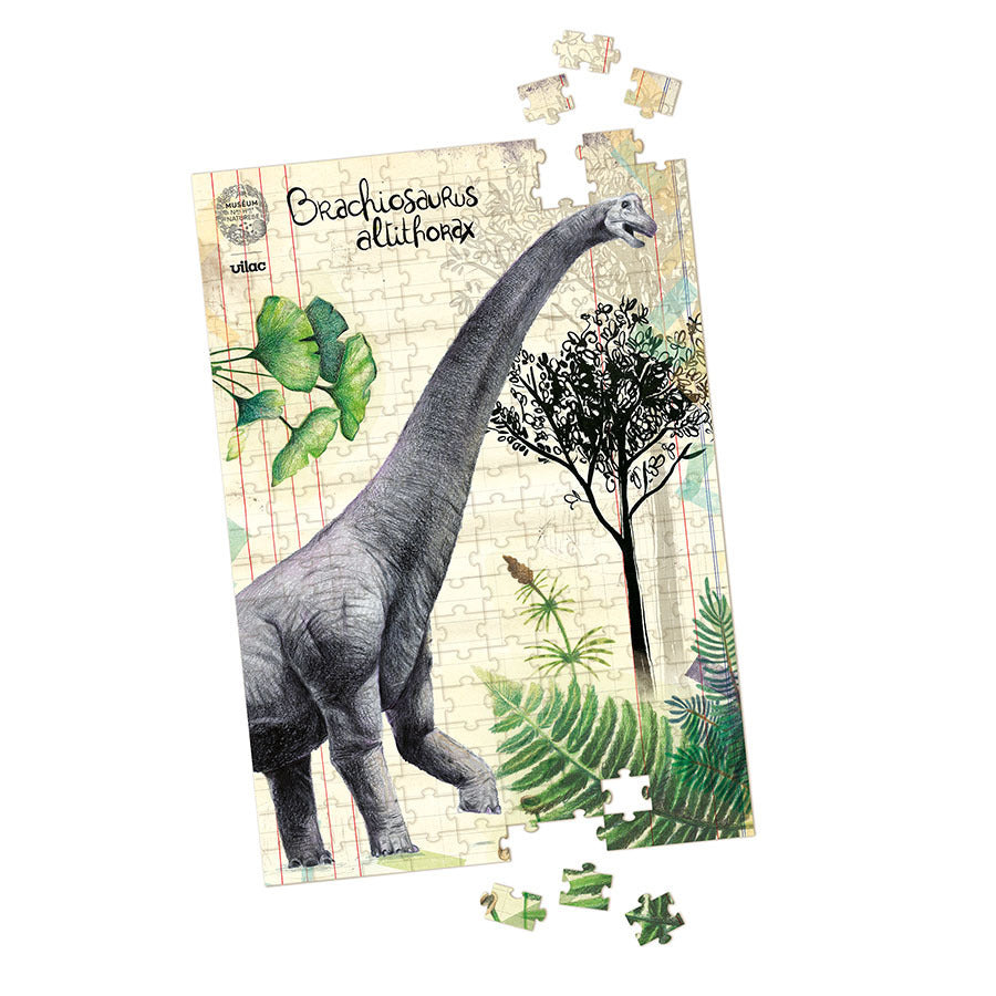 VILAC Coffret 3 puzzle dinosaures et posters 9626