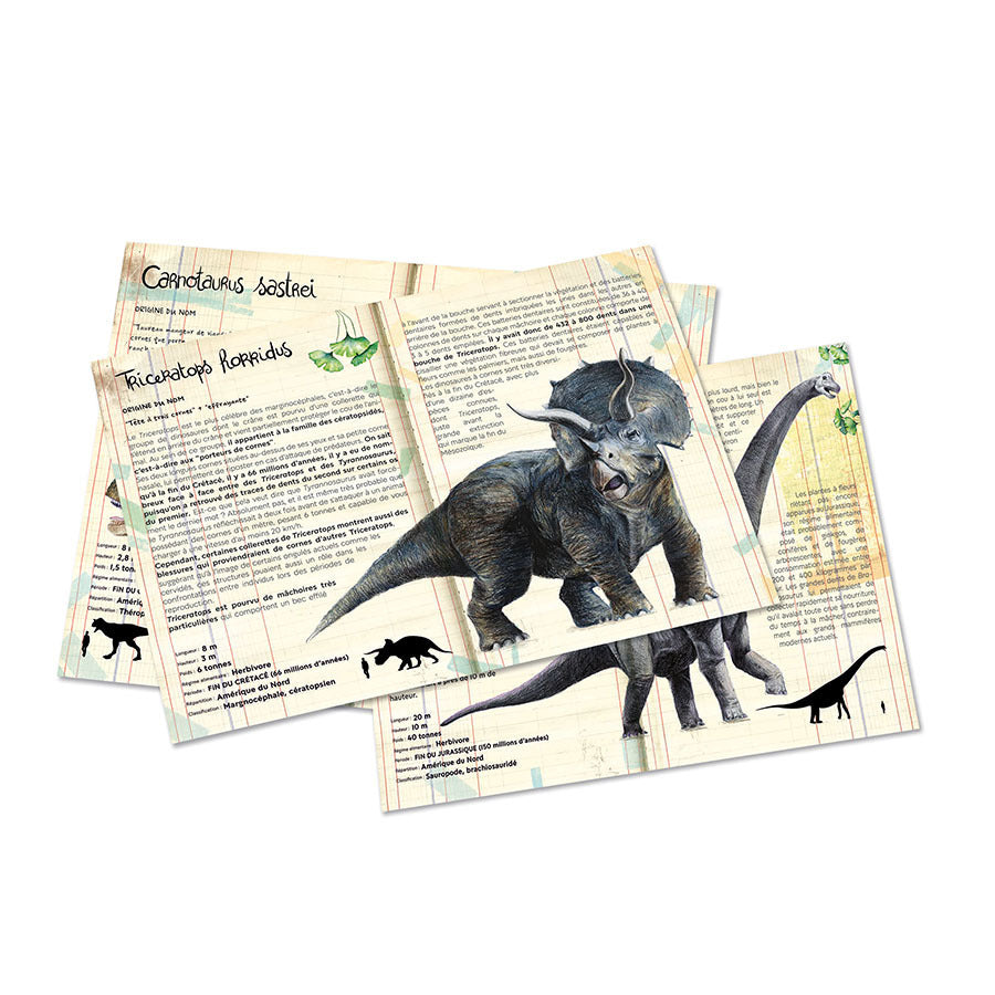 VILAC Coffret 3 puzzle dinosaures et posters 9626
