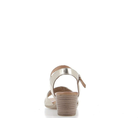 Sandales / Nu Pieds adulte COCO ET ABRICOT MUN Champagne Sandales Nu Pieds