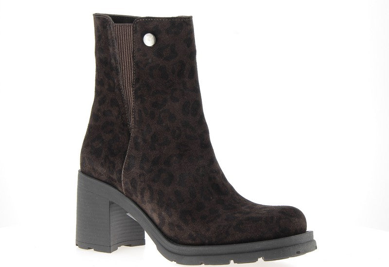 COCO ET ABRICOT SALAVRE TDM Bottines