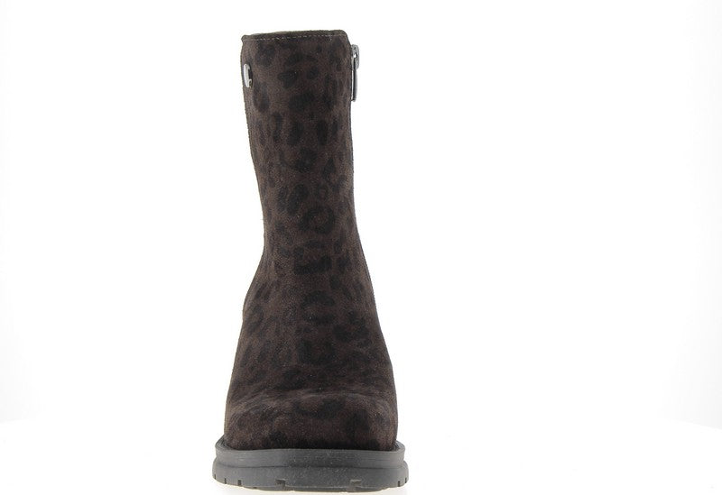 COCO ET ABRICOT SALAVRE TDM Bottines