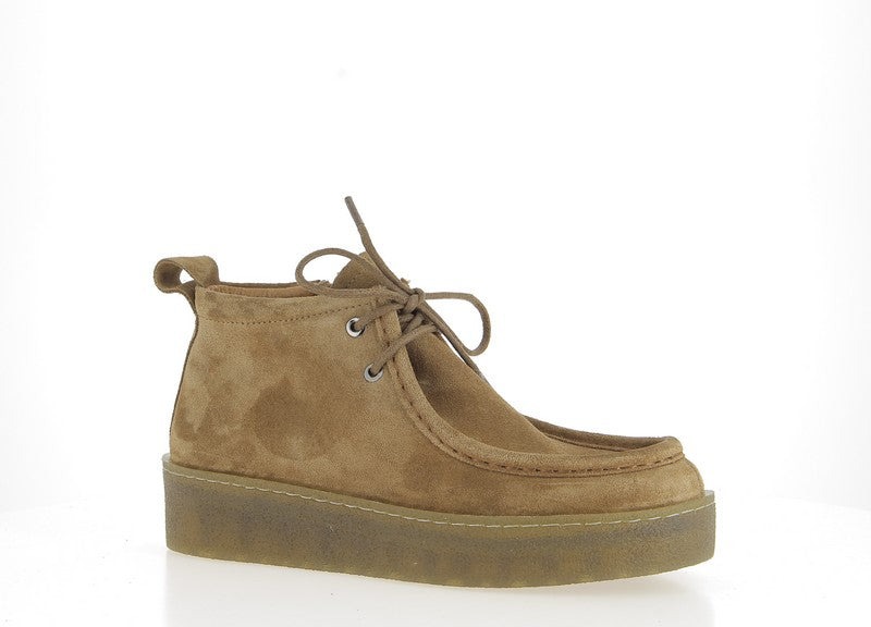 COCO ET ABRICOT SALICE Tabac Chaussures Basses