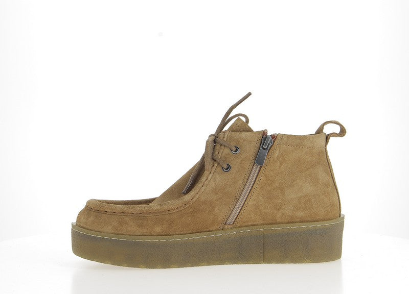 COCO ET ABRICOT SALICE Tabac Chaussures Basses